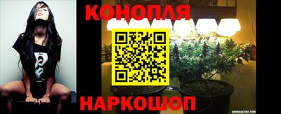 синтетический гашиш Камышлов